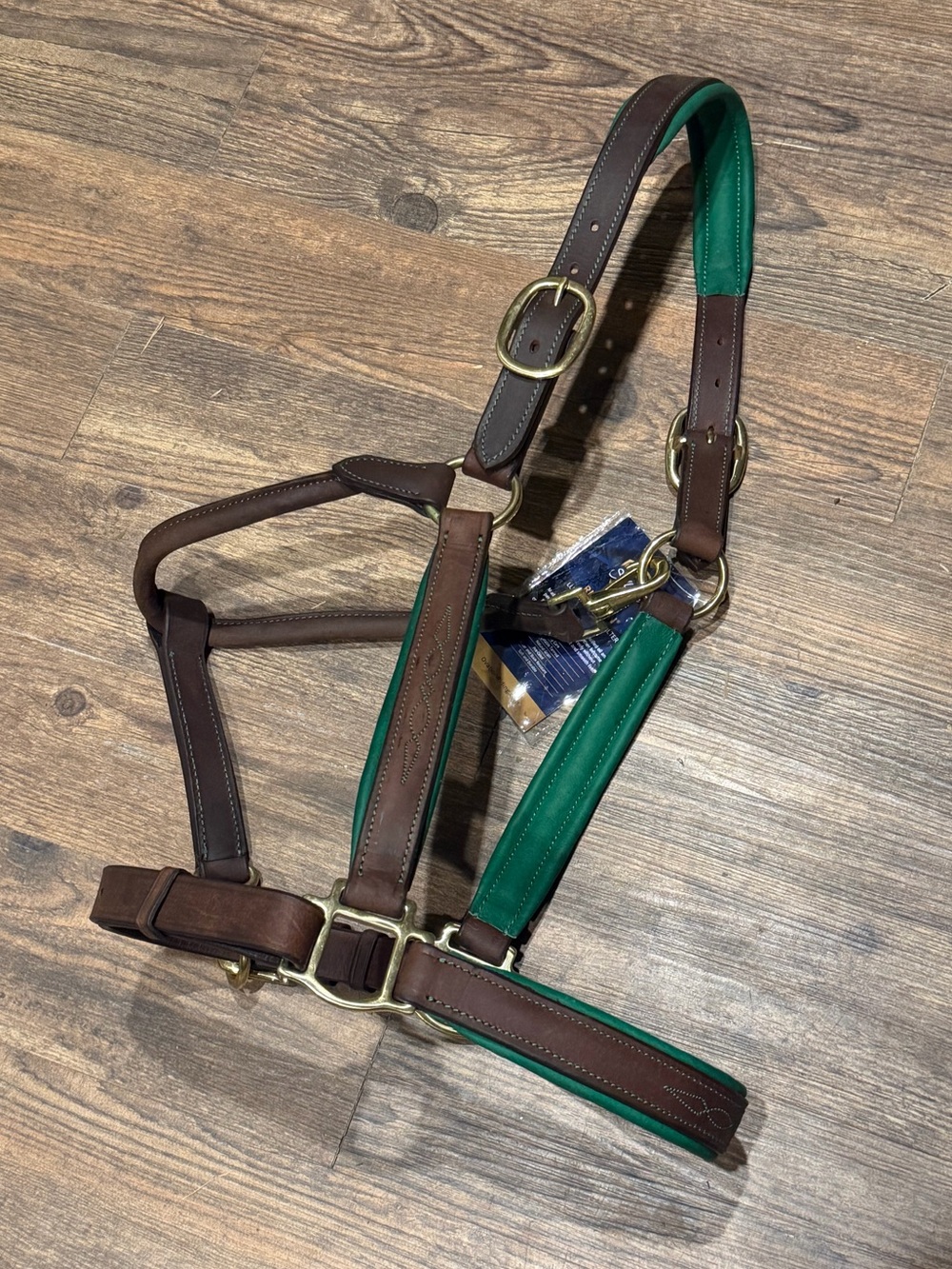 Ovation luxury leather halter HORSE size- choice of color